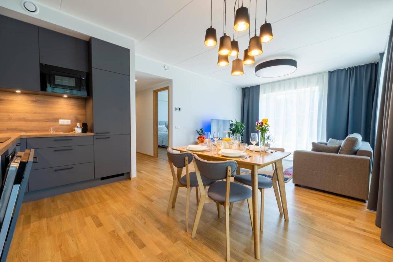 Delta Luxury Apartment With Terrace Тарту Экстерьер фото