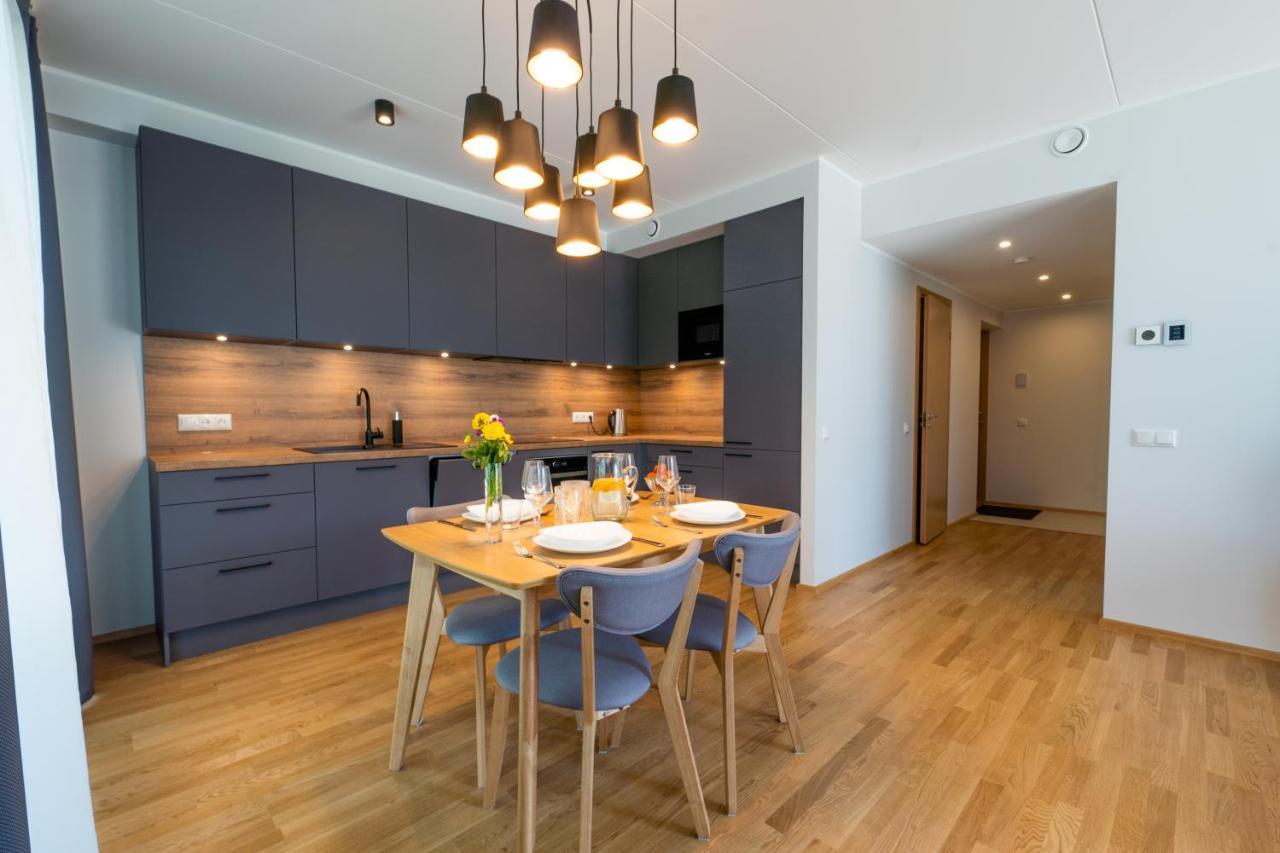 Delta Luxury Apartment With Terrace Тарту Экстерьер фото