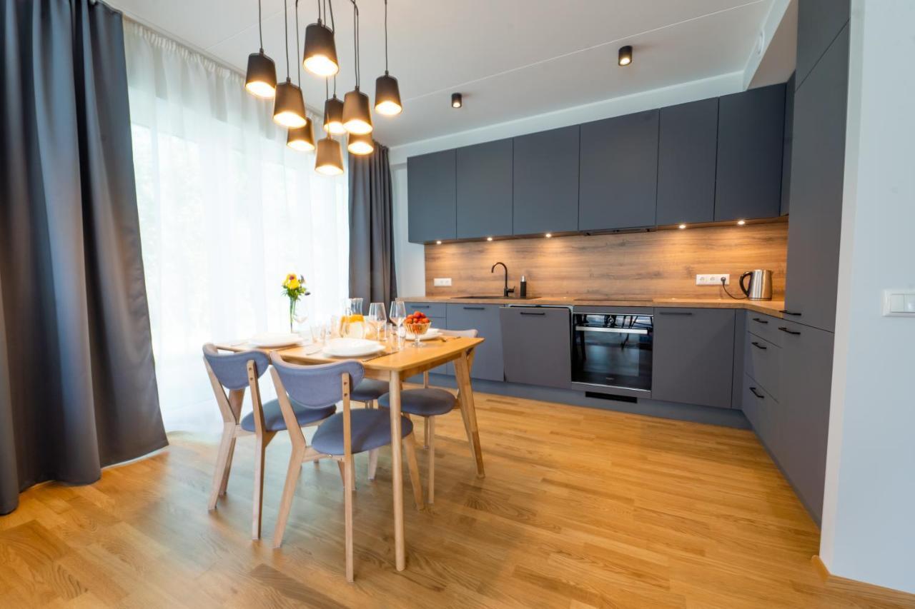 Delta Luxury Apartment With Terrace Тарту Экстерьер фото